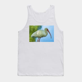 American white ibis of Florida Tank Top